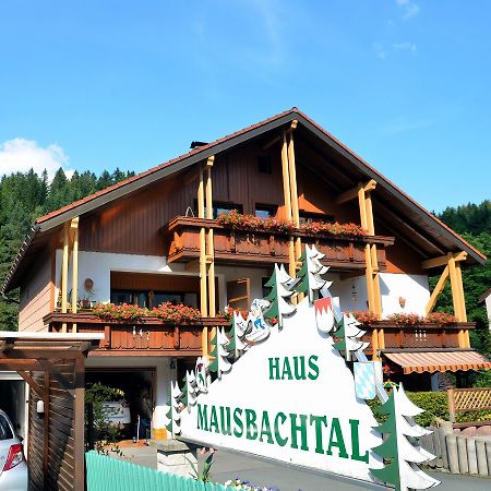 Pension Mausbachtal Warmensteinach Kültér fotó
